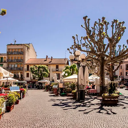 酒店 蜜庭酒店 3*