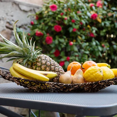 蜜庭酒店 酒店 3*