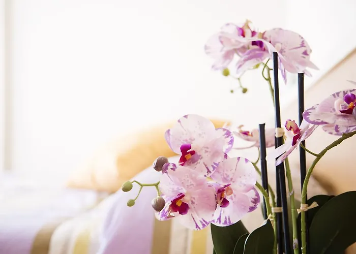 Meeting Стреза